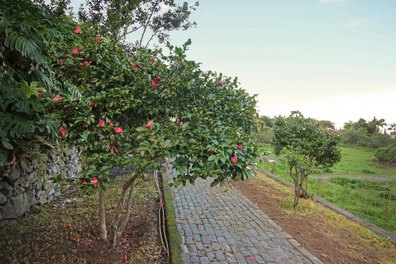 Appartamento Solar Arco De Sao Jorge Santana  Esterno foto
